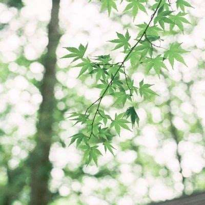 怒斩沙城内购破解版下载